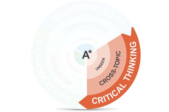 secondary maths tuition singapore | critical thinking